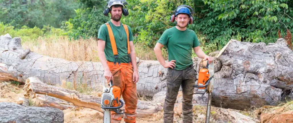 Two tree surgeons with chainsaws standing beside a large felled tree.