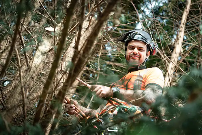 Smiling Gloucester tree surgeon equipped with safety gear in a tree canopy.