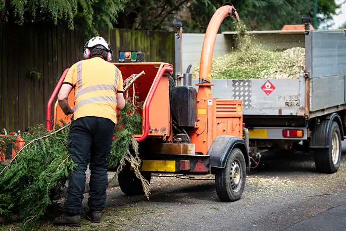 tree surgeon feeding branches into a wood chipper machine next to a truck.