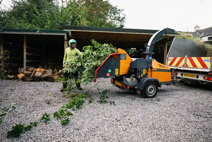 Tree surgeon in lime green jacket preparing branches for a wood chipper machine.